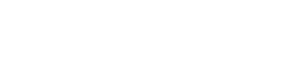 Skyzone Cargo & Travel Agency
